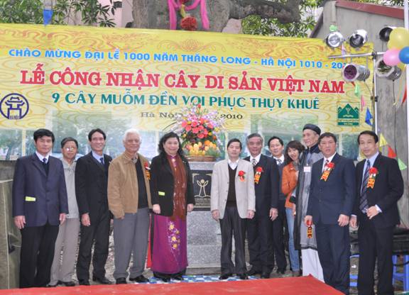 30[-]NĂM[-]VACNE:[-]Vinh[-]danh[-]Cây[-]Di[-]sản[-]Việt[-]Nam[-]tại[-]Hà[-]Nội,[-]Thừa[-]Thiên[-]-[-]Huế,[-]Hải[-]Dương,[-]Hải[-]Phòng,[-]Cao[-]Bằng,[-]Phú[-]Thọ,[-]Hòa[-]Bình,[-]Bắc[-]Ninh,[-]Vĩnh[-]Phúc,[-]Nghệ[-]An[-]